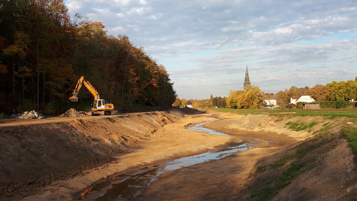 Realisierte Gewässeraufweitung (mäandr. Mittelwasserrinne, Sekundärauen & Deichverlegung) (11/2018)