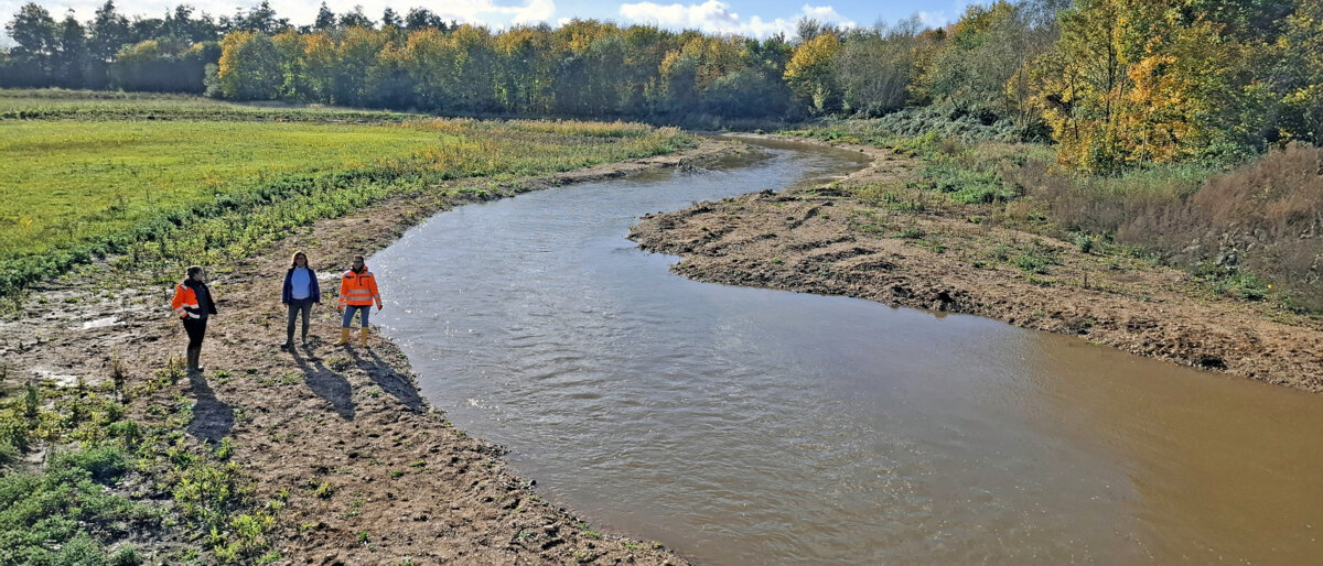 Renaturierung_Erft